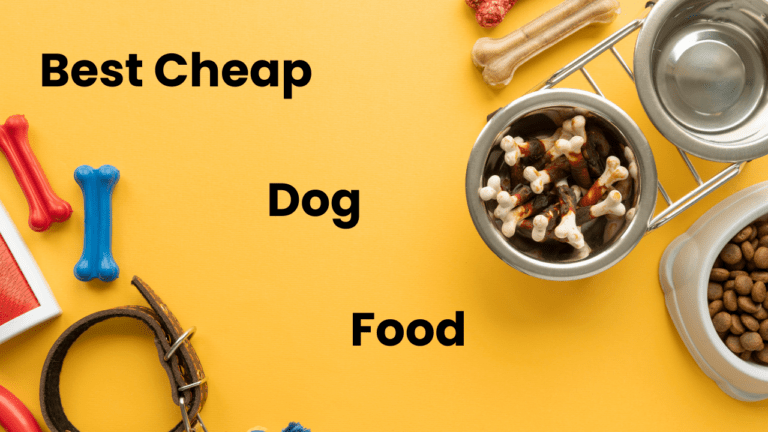 Read more about the article Best Cheap Dog Food