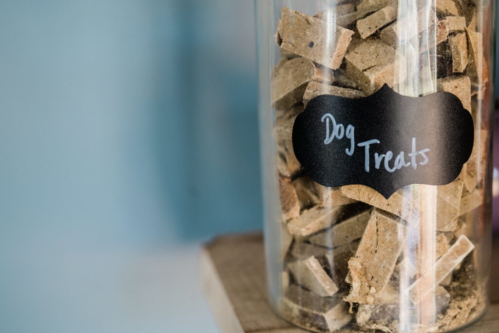 Grain-Free and Homemade Dog Food for Allergies