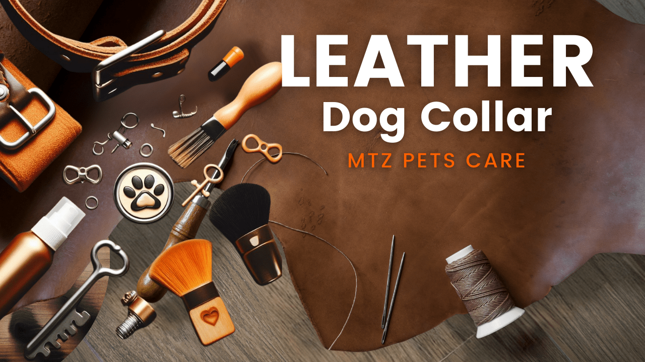 You are currently viewing Custom Leather Dog Collars