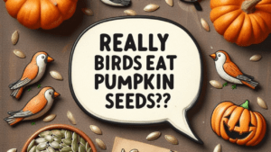 Do Birds Eat Pumpkin Seeds ?