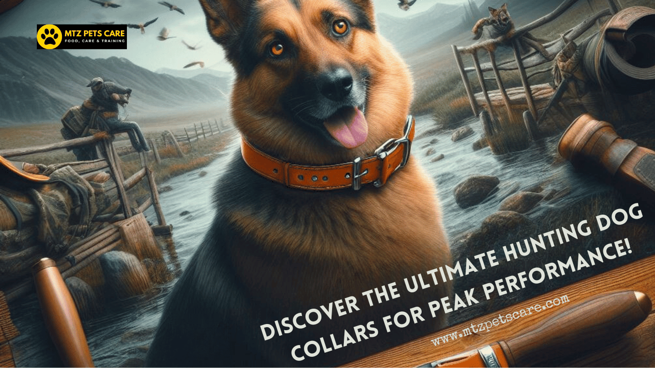 You are currently viewing Don’t Be Ruffled: Finding the Perfect Hunting Dog Collar Isn’t a Puzzle