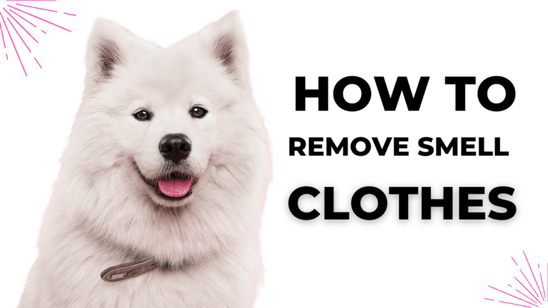 Read more about the article how to get urine smell out of clothes