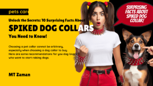 SURPrISING Facts ABOUT spiked DOG COLLAR!