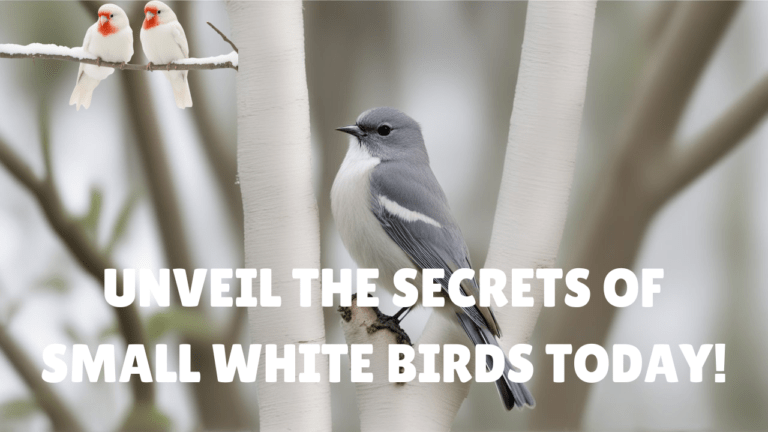 Read more about the article Unveil the Secrets of Small White Birds Today!