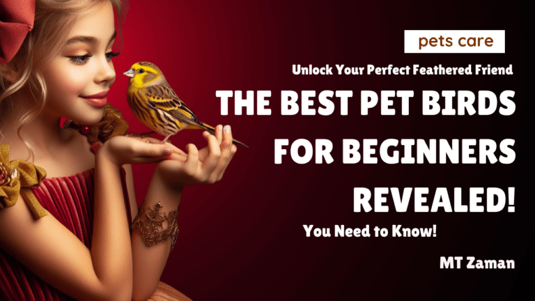 Read more about the article Best Pet Birds for Beginners